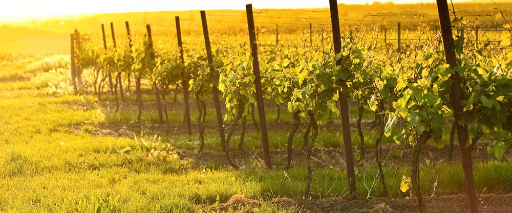 Christianity & Cyprus