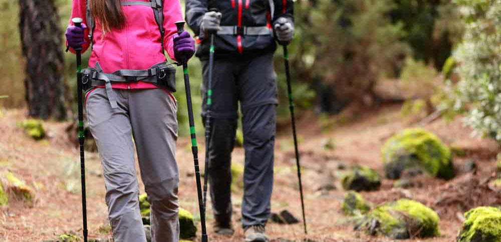 Hiking & Birdwatching