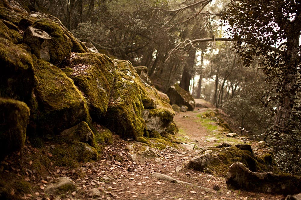 Hiking & Birdwatching